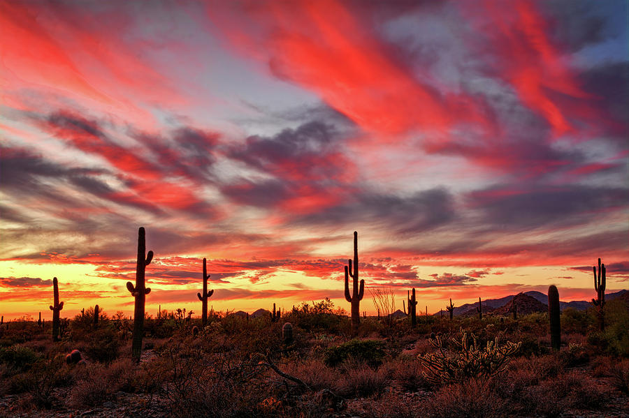 Painted Sonoran Sunset Skies  Photograph by Saija Lehtonen