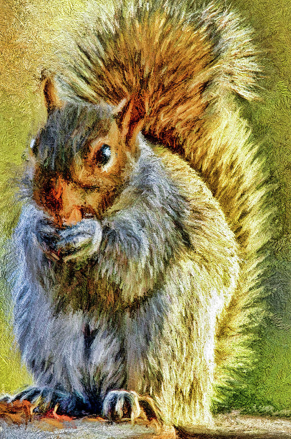 Nature Photograph - Painted squirrel  by Geraldine Scull