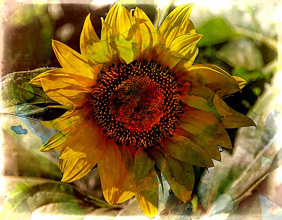 Painted Sunflower Photograph by Karen McKenzie McAdoo