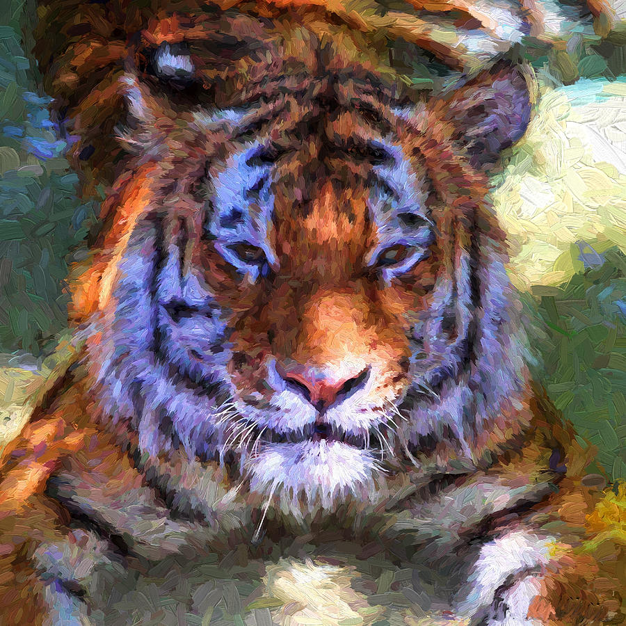 Painted Tiger Photograph by John Freidenberg