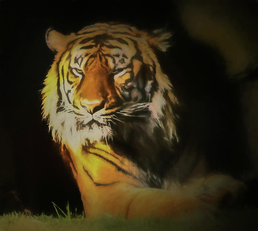 Painted Tiger Digital Art by Kandy Hurley