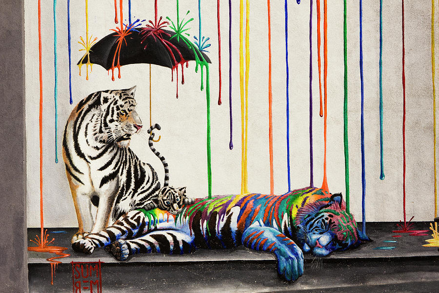 Painted Tigers Photograph