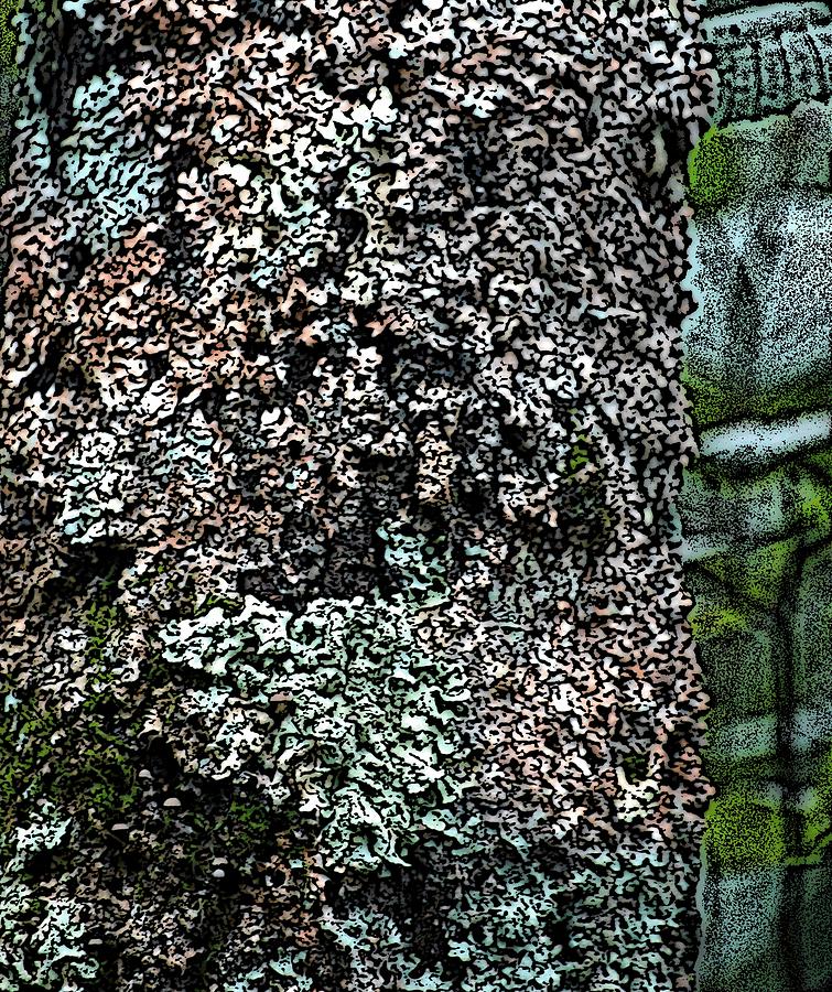 Painted Treebark Woodcut Photograph by David Lane
