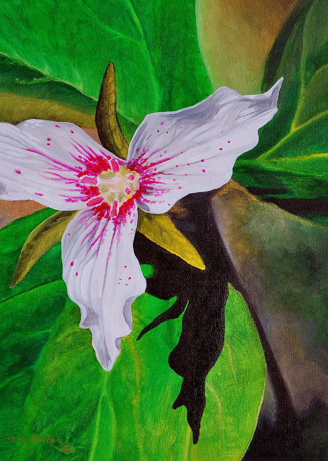 Painted Trillium Painting by Harry Moulton