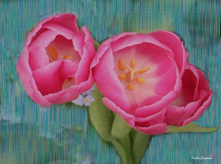 Painted tulips Photograph by Linda Sannuti
