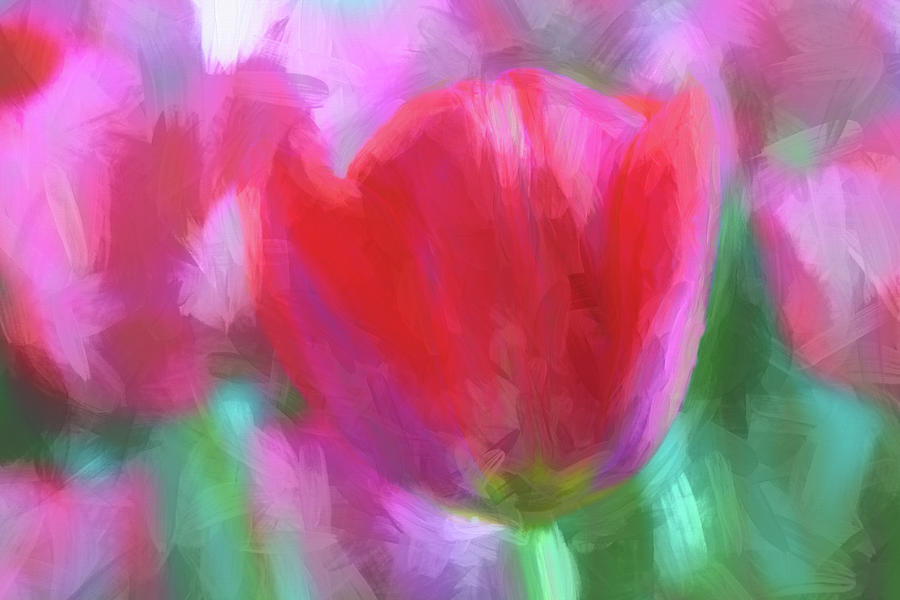 Painted Tulips Digital Art by Terry Davis