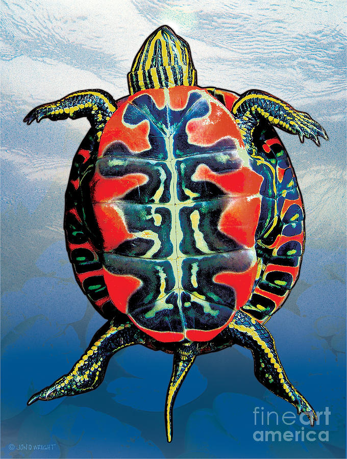 Painted Turtle Blue Painting by JQ Licensing