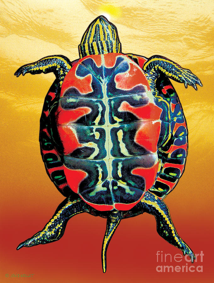 Turtle Painting - Painted Turtle Sunset Orange by JQ Licensing
