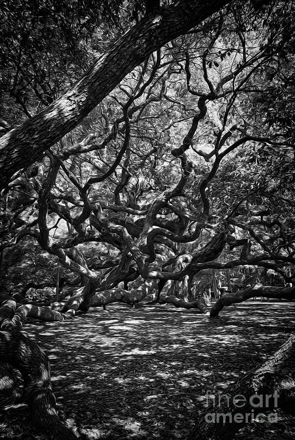 Painted Under The Angel Oak Photograph by Skip Willits