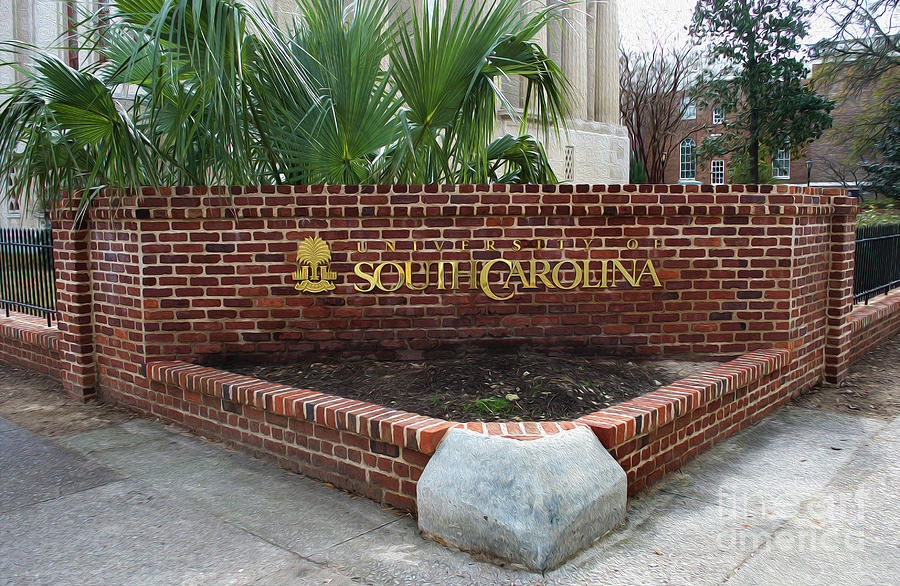 Painted University Of South Carolina Photograph by Skip Willits