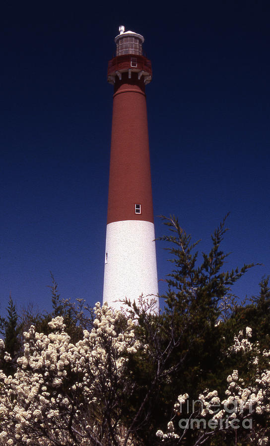 Painted Vertical Barnegat With Flowers Photograph by Skip Willits