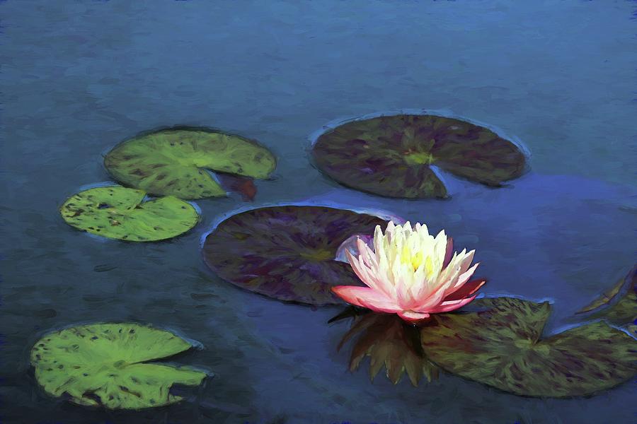Painted Water Lily and Lily Pads Photograph by Carol Montoya
