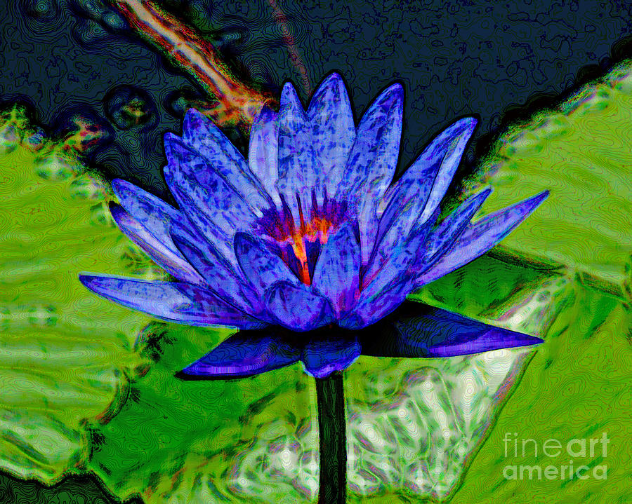 Painted Waterlily Photograph by Stephen Whalen