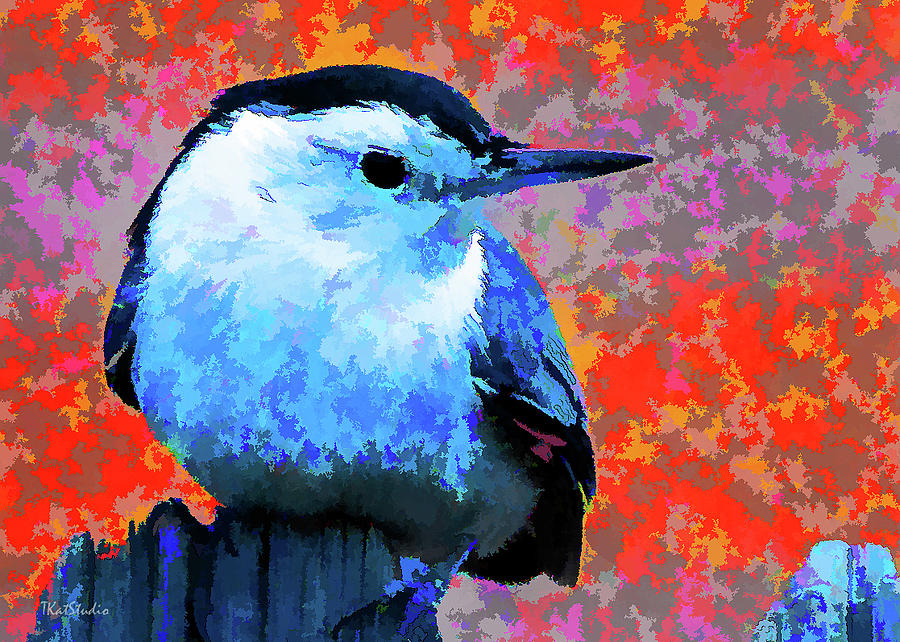 Painted White Breasted Nuthatch Photograph by Tim Kathka Painted White Breasted Nuthatch Photograph by Tim Kathka