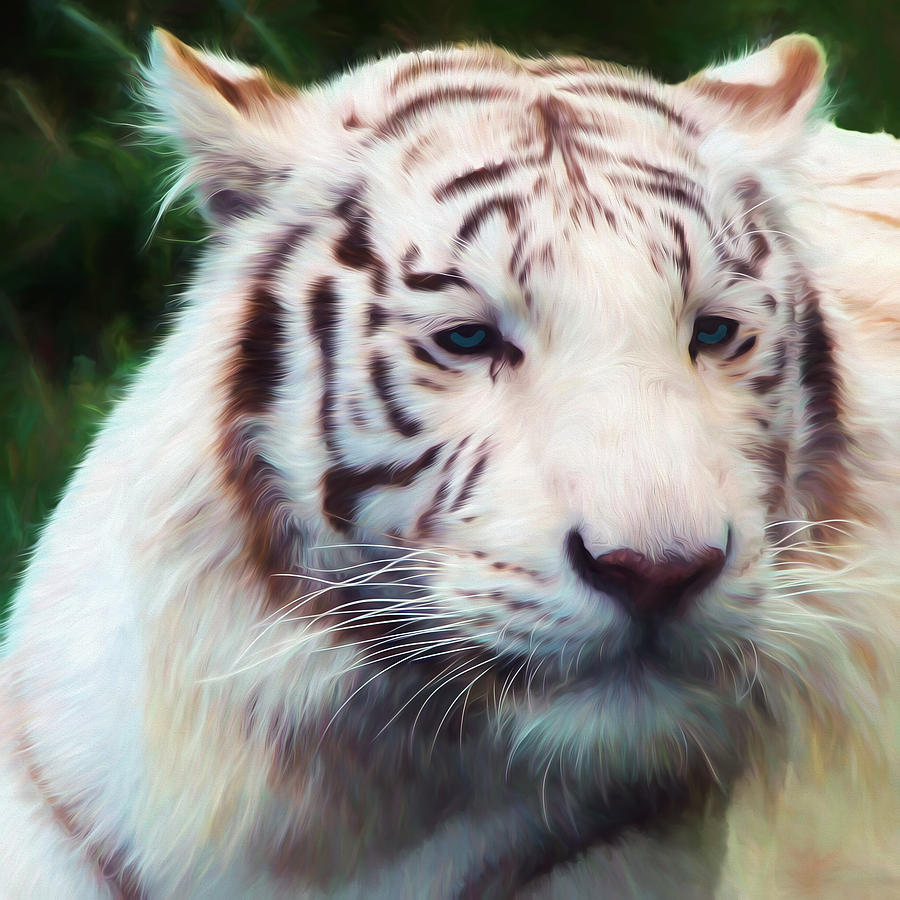 Painted White Tiger Photograph by Ericamaxine Price - Pixels