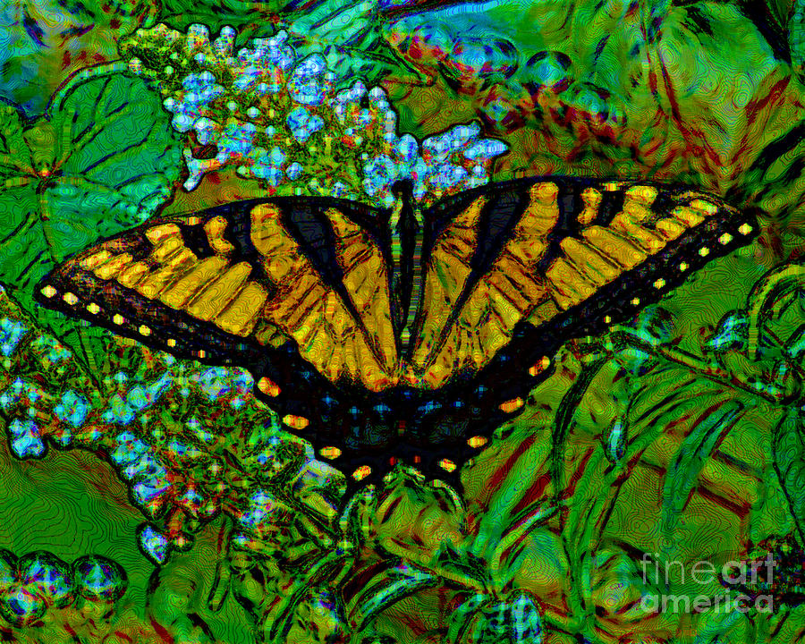 Painted Yellow Swallowtail Photograph by Stephen Whalen