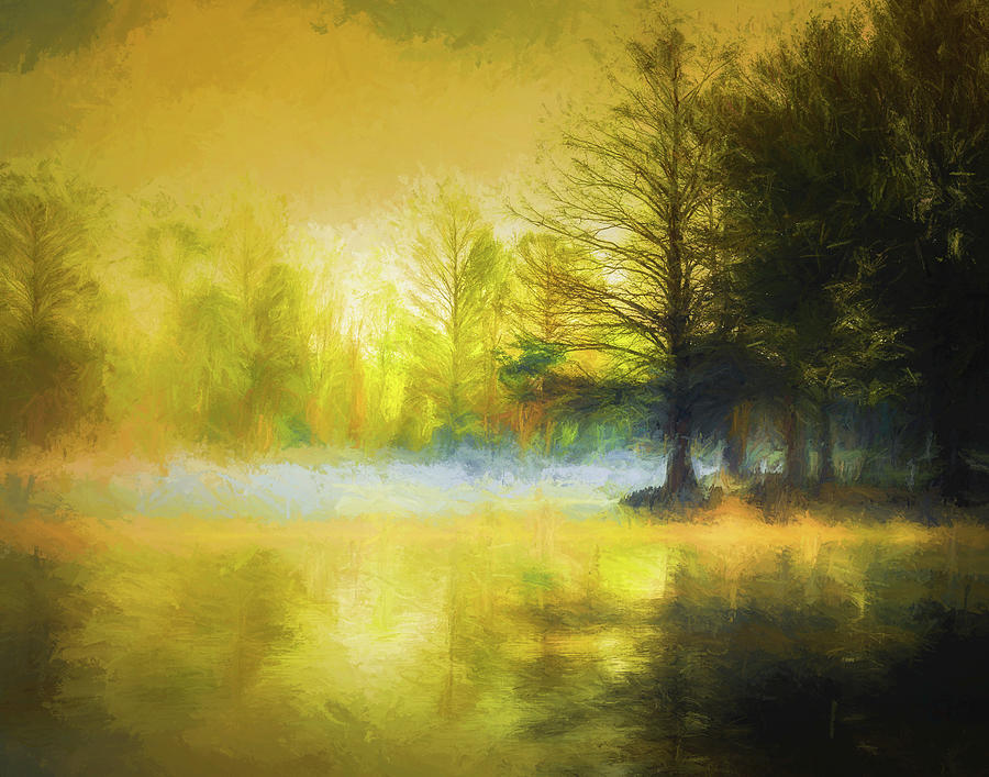 Painterly Early Morning Photograph by James Barber