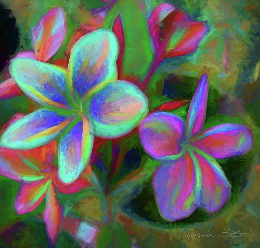 Painterly Frangipanis by Jacqueline Sleter Painterly Frangipanis by Jacqueline Sleter