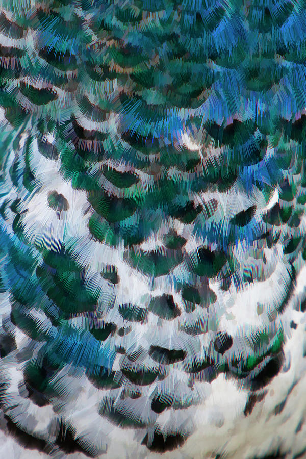 Painterly Peacock Pattern Photograph