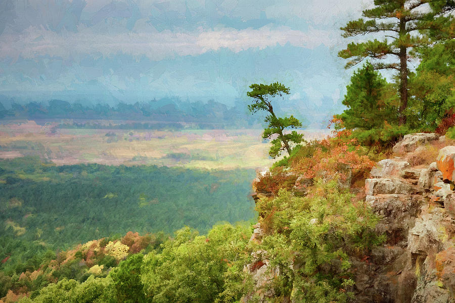 Painterly Pine Photograph by James Barber