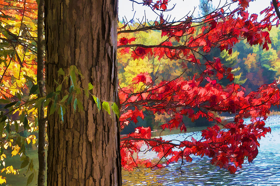 Painterly Rendition of Red Leaves and Tree Trunk in Autumn Photograph by Randall Nyhof