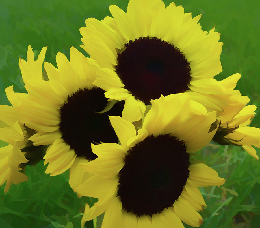 Painterly Sunflower Bouquet Photograph