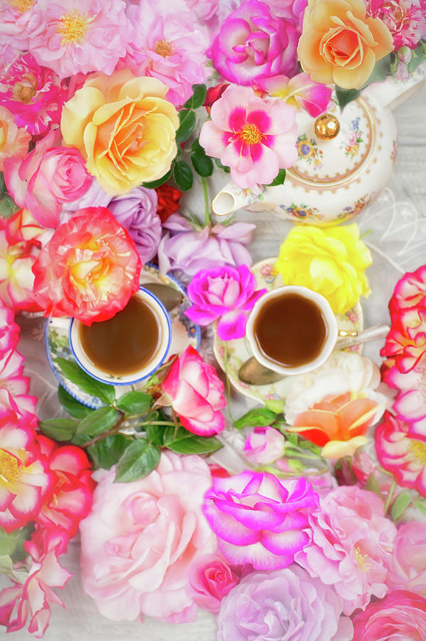 Painterly Tea Party with Fresh Garden Roses II Photograph by Susan Gary