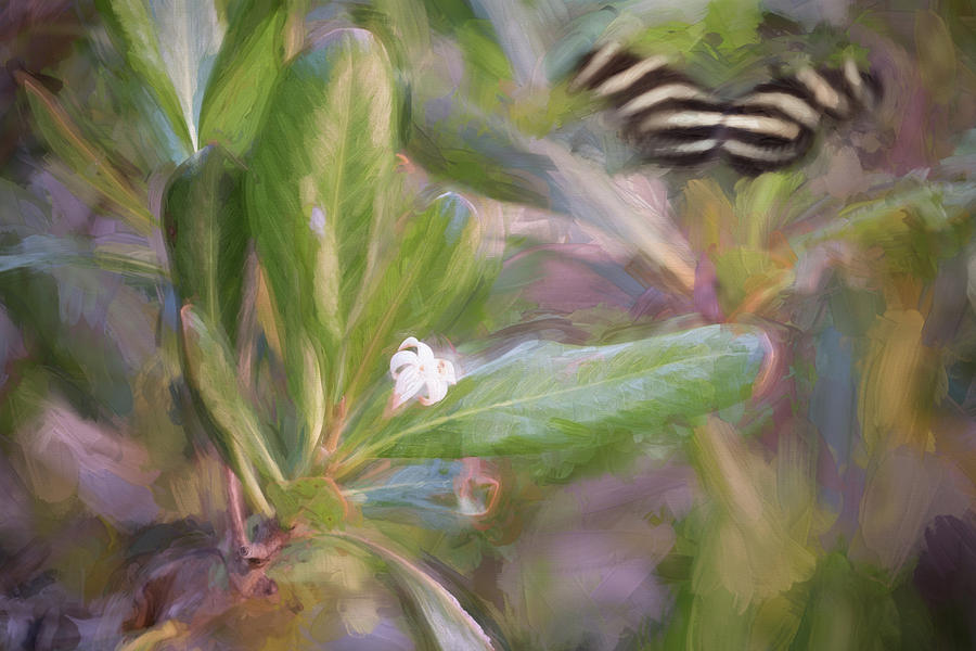 Painterly Zebra Butterfly Photograph by Artful Imagery