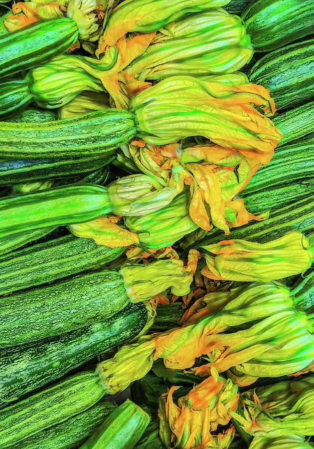 Painterly Zucchini Photograph by Gary Slawsky
