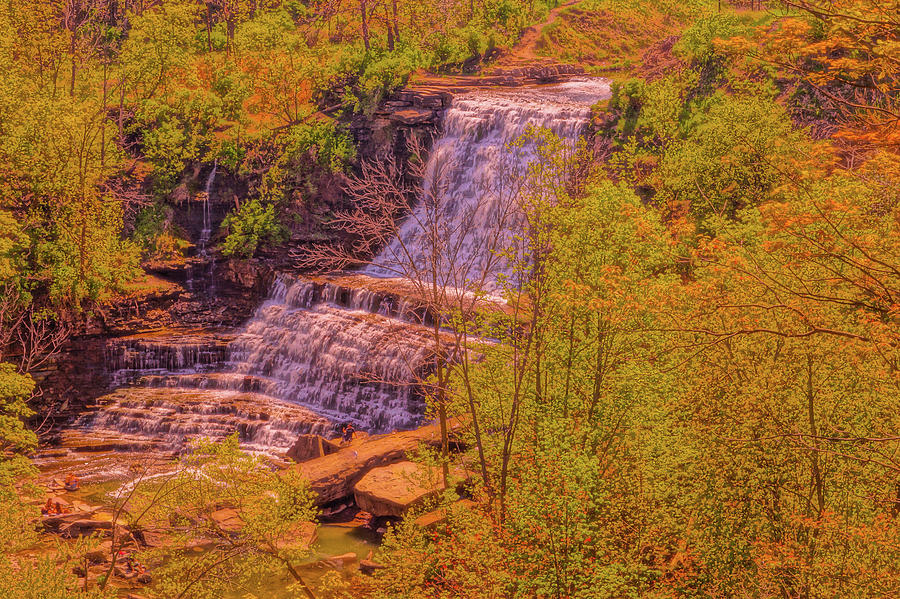 Painting Albion Falls Photograph by Daniel Thompson