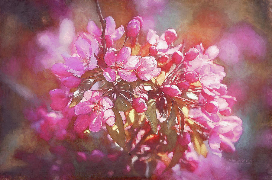 Painting Cherry Blossoms Photograph by Maria Angelica Maira