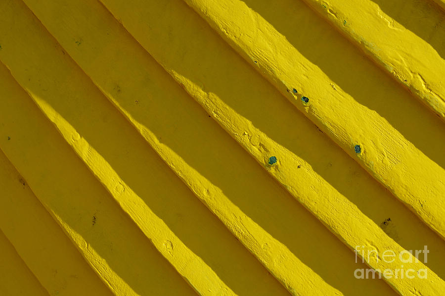 Painting It Yellow Photograph by Wendy Wilton