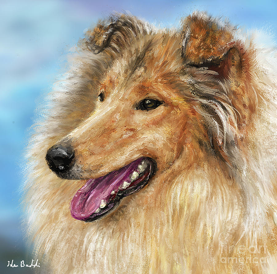 Painting of a Blond Furry Collie Dog Digital Art by Idan Badishi - Fine ...