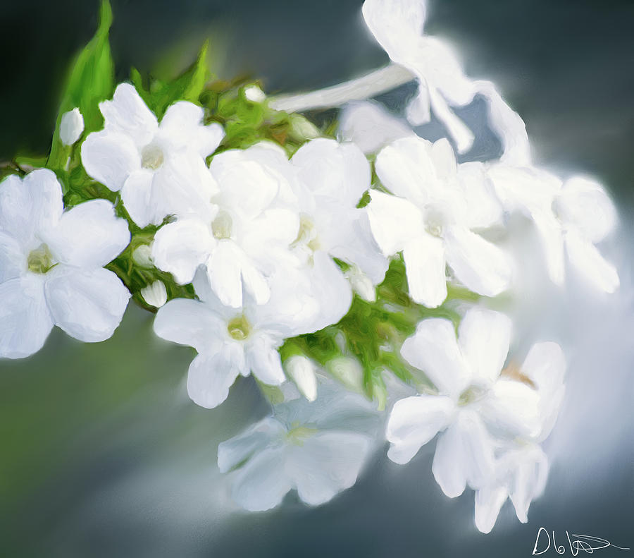 Flower Digital Art - Painting of White Phlox by Garvin Hunter