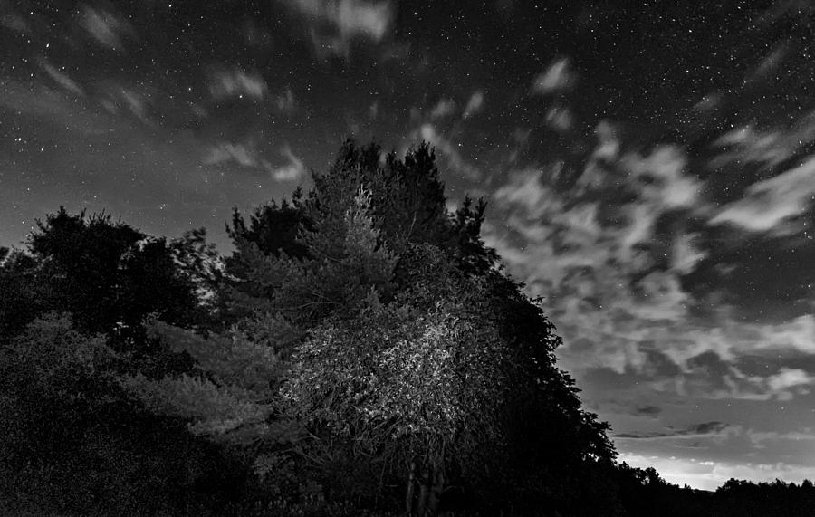 Nature Photograph - Painting The Night 3 - bw by Steve Harrington