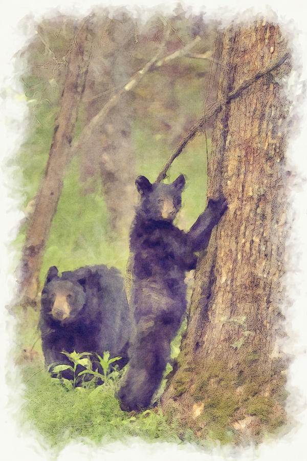 Paintography - Mom and spring cub in the woods Photograph by Dan Friend