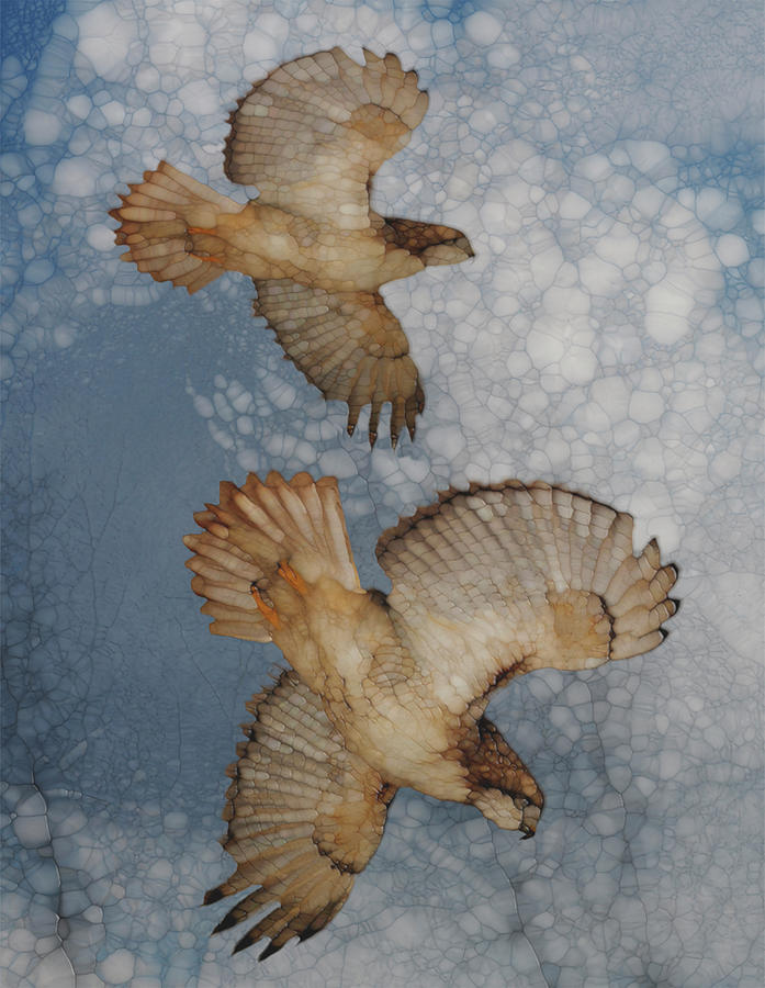 Hawk Painting - Pair In Flight by Jack Zulli