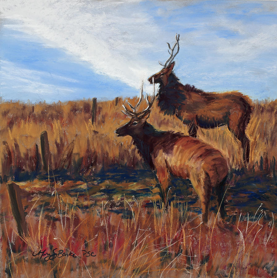 Pair o Bulls Painting by Mary Benke