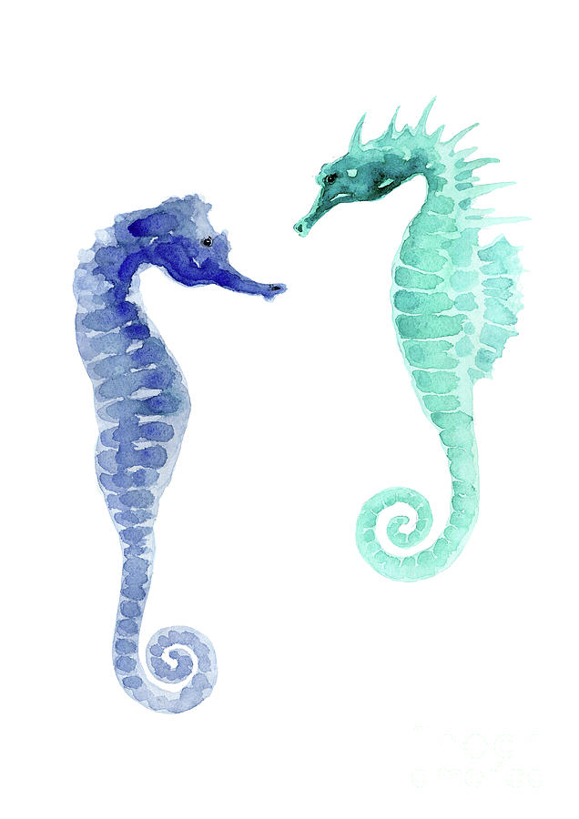 Seahorse Painting - Pair of blue and sea green seahorses watercolor by Joanna Szmerdt