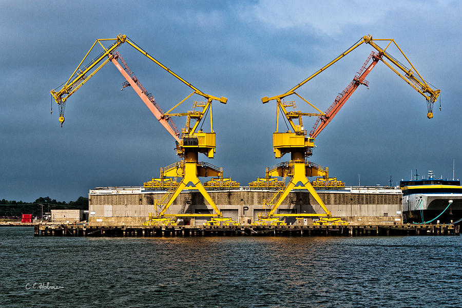 Pair Of Cranes Photograph by Christopher Holmes