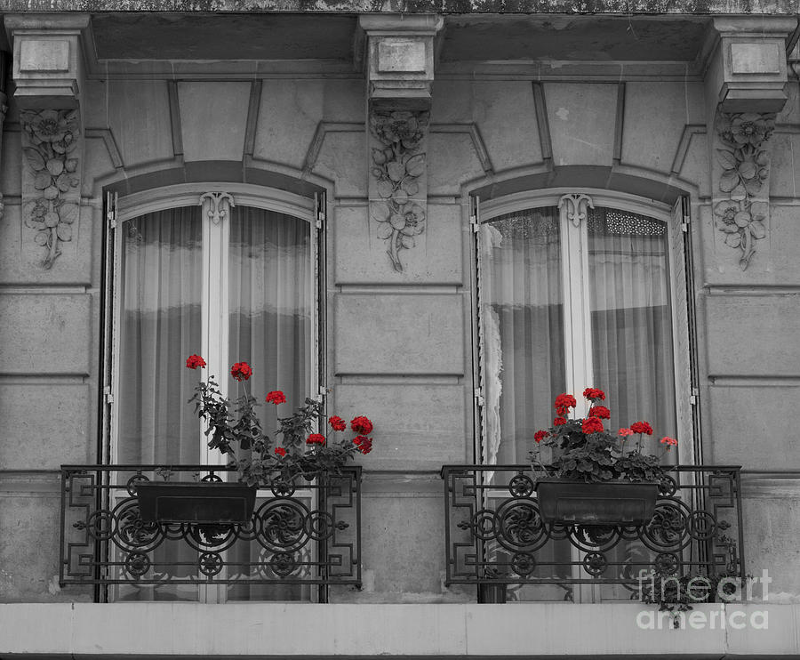 French Windows Photograph by Juli Scalzi