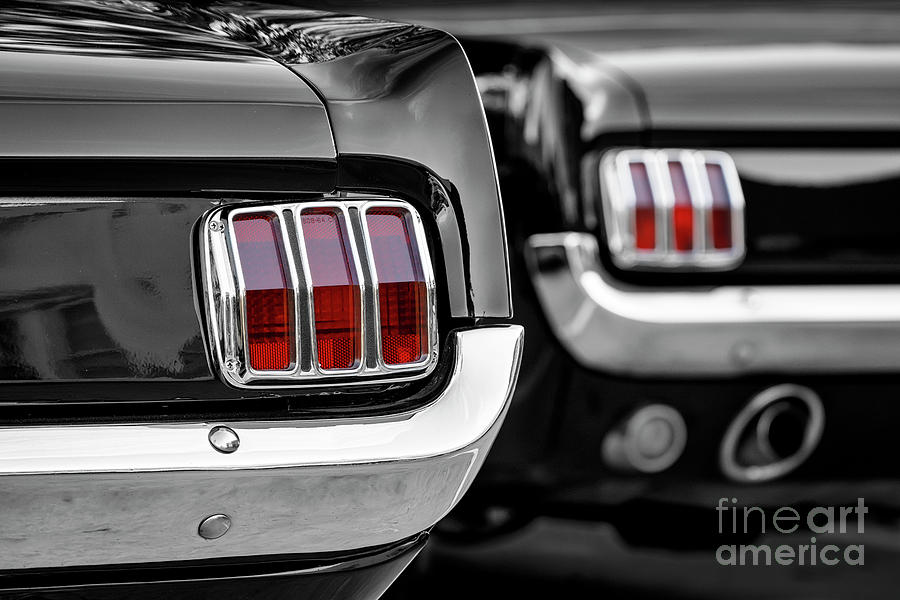 Pair of Mustangs Photograph by Dennis Hedberg