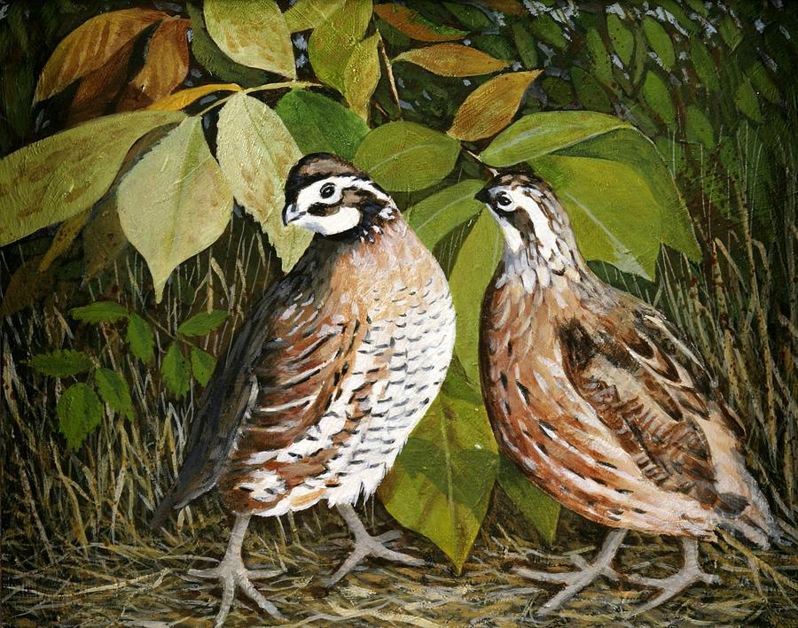 Bird Painting - Pair of Quail by Gaylon Dingler
