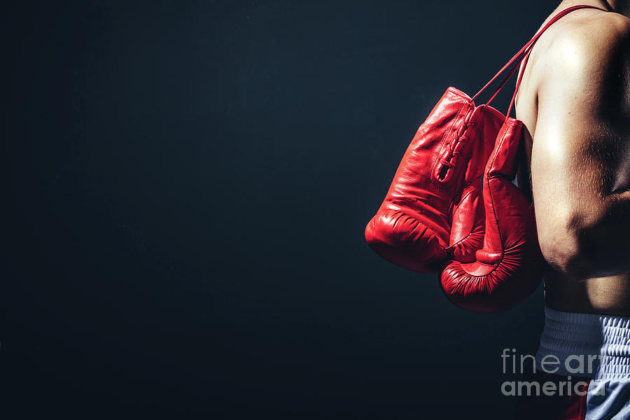 Pair of red gloves on the fighters back. Photograph by Michal Bednarek
