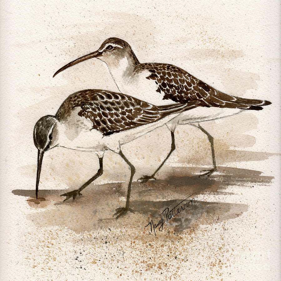Pair of Sandpipers Painting by Nancy Patterson