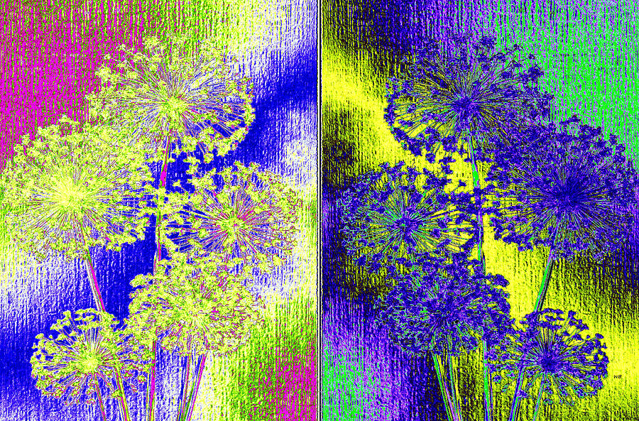 Paired Allium Abstract Digital Art by Will Borden