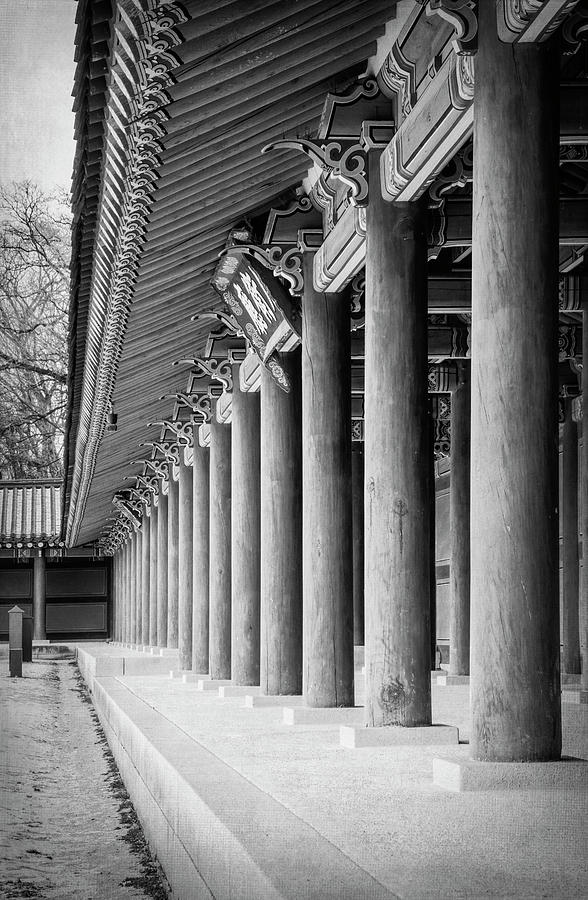 Palace Pillars Seoul South Korea BW Photograph by Joan Carroll