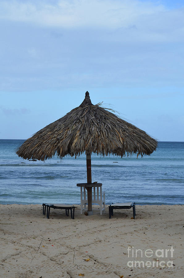 Palapas Deserted on Eagle Beach in Aruba Photograph by DejaVu Designs