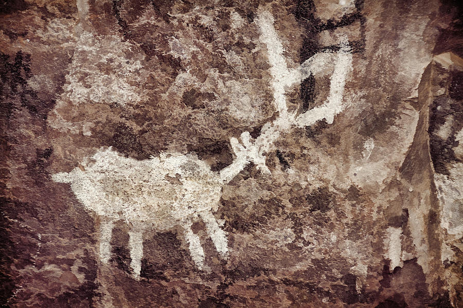 Palatki Pictographs Des Photograph by Theo OConnor