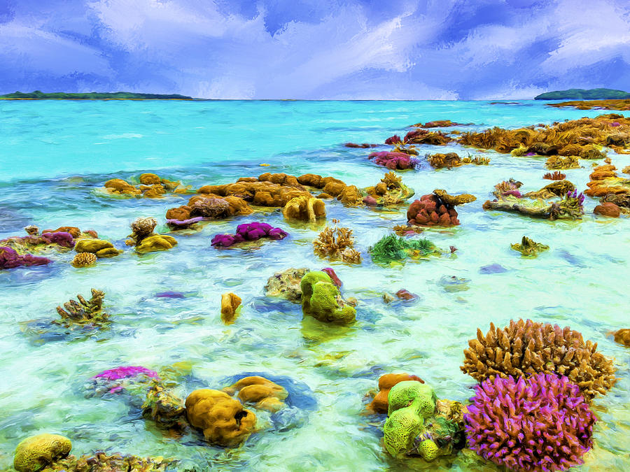 Palau Reef at Low Tide Painting by Dominic Piperata
